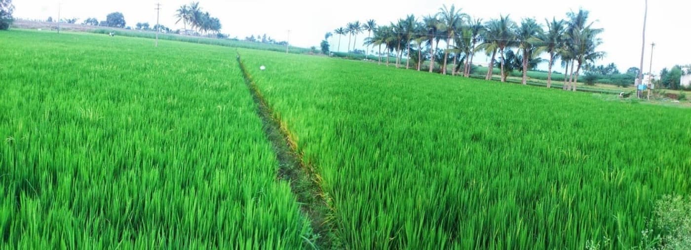 Basics of farming