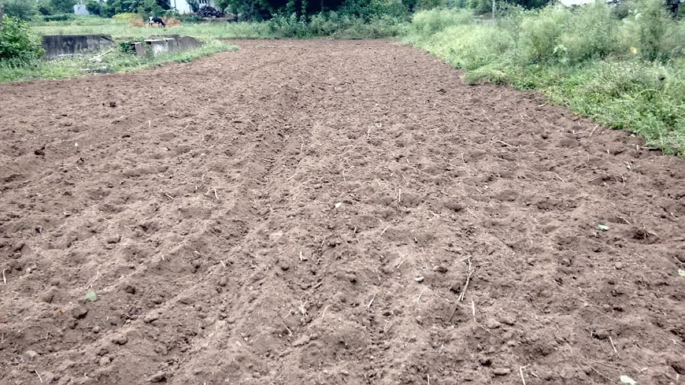 Understand your soil