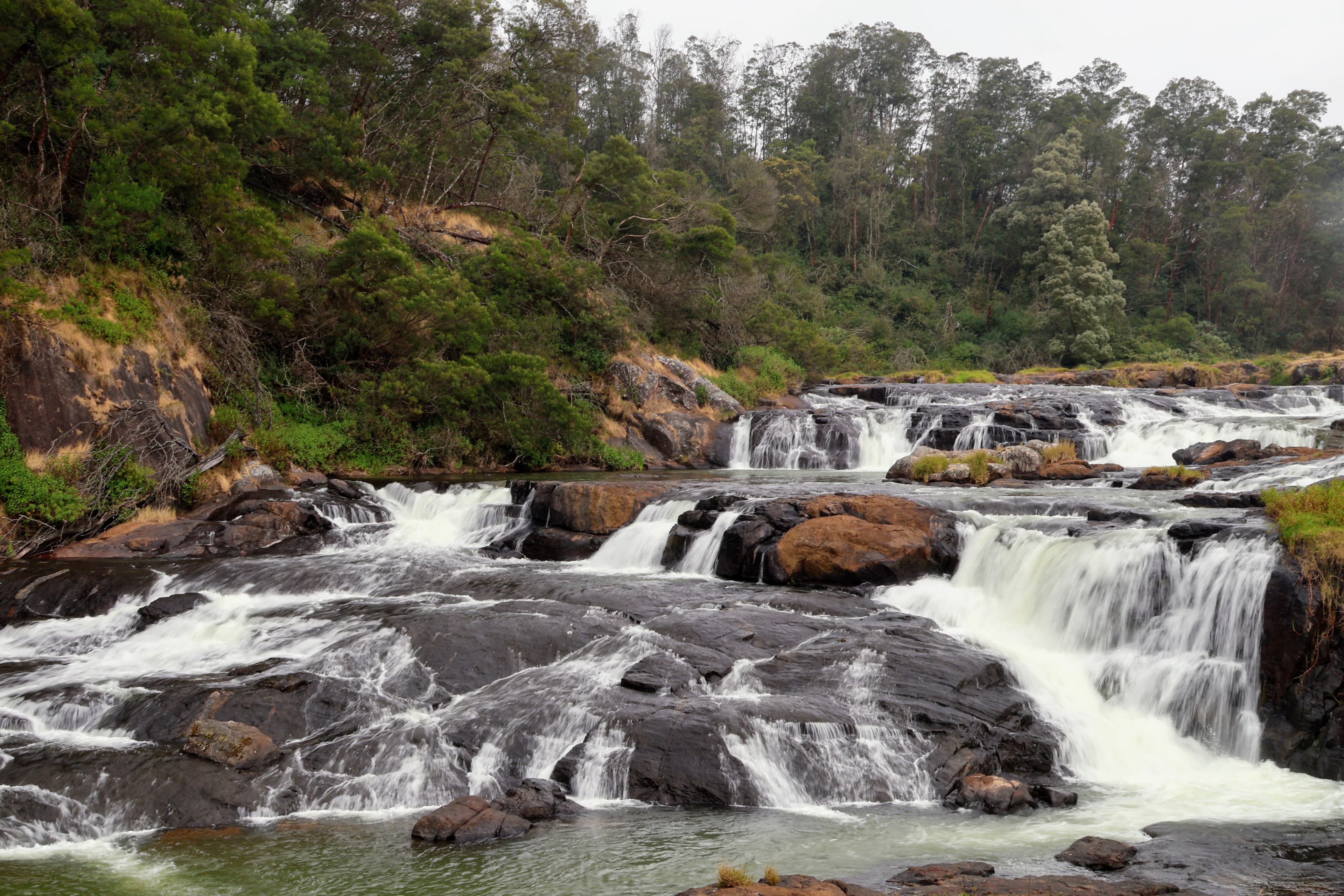 Cascading waterfalls surrounded by forest