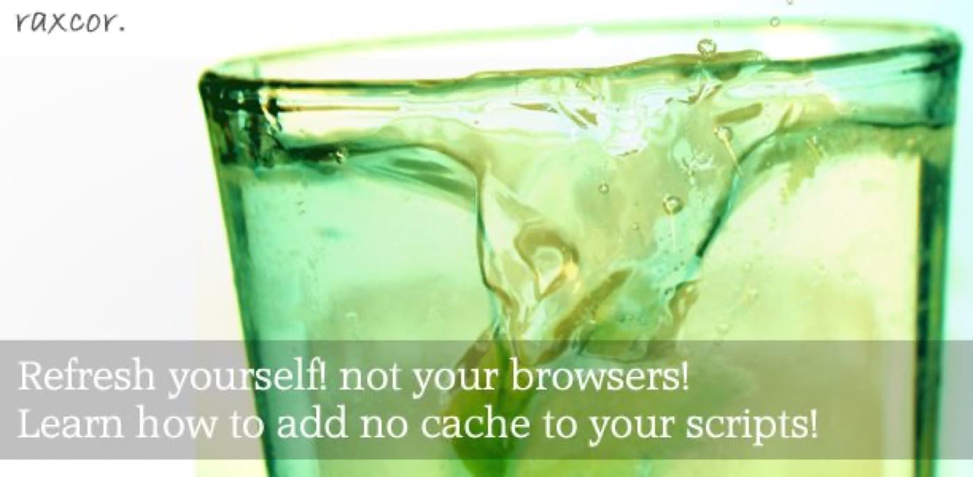 How to add no-cache for CSS