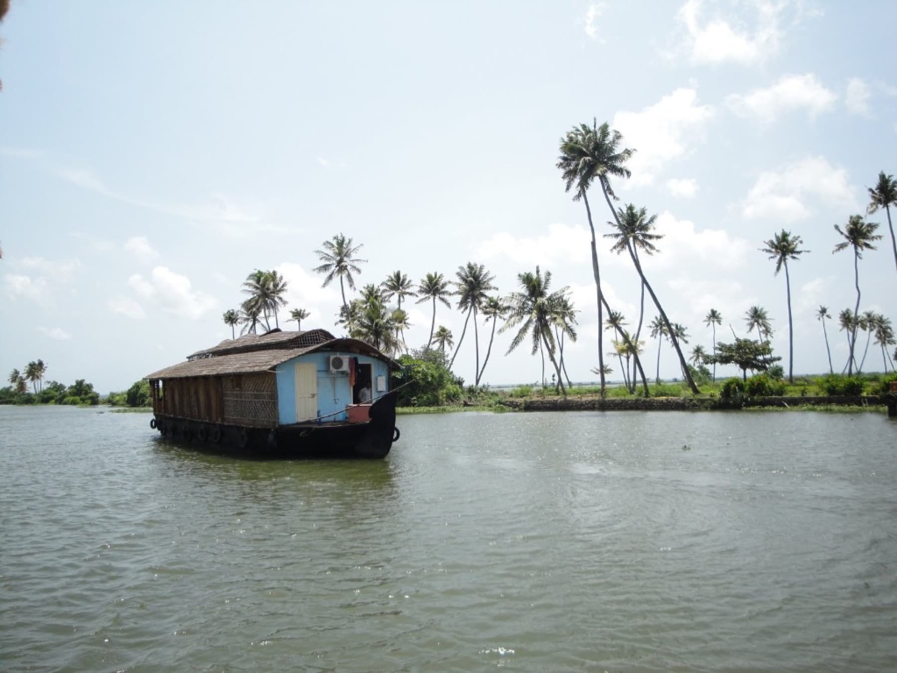 A blue houseboat on the Alleppey backwaters, with coconut palms leaning over the water