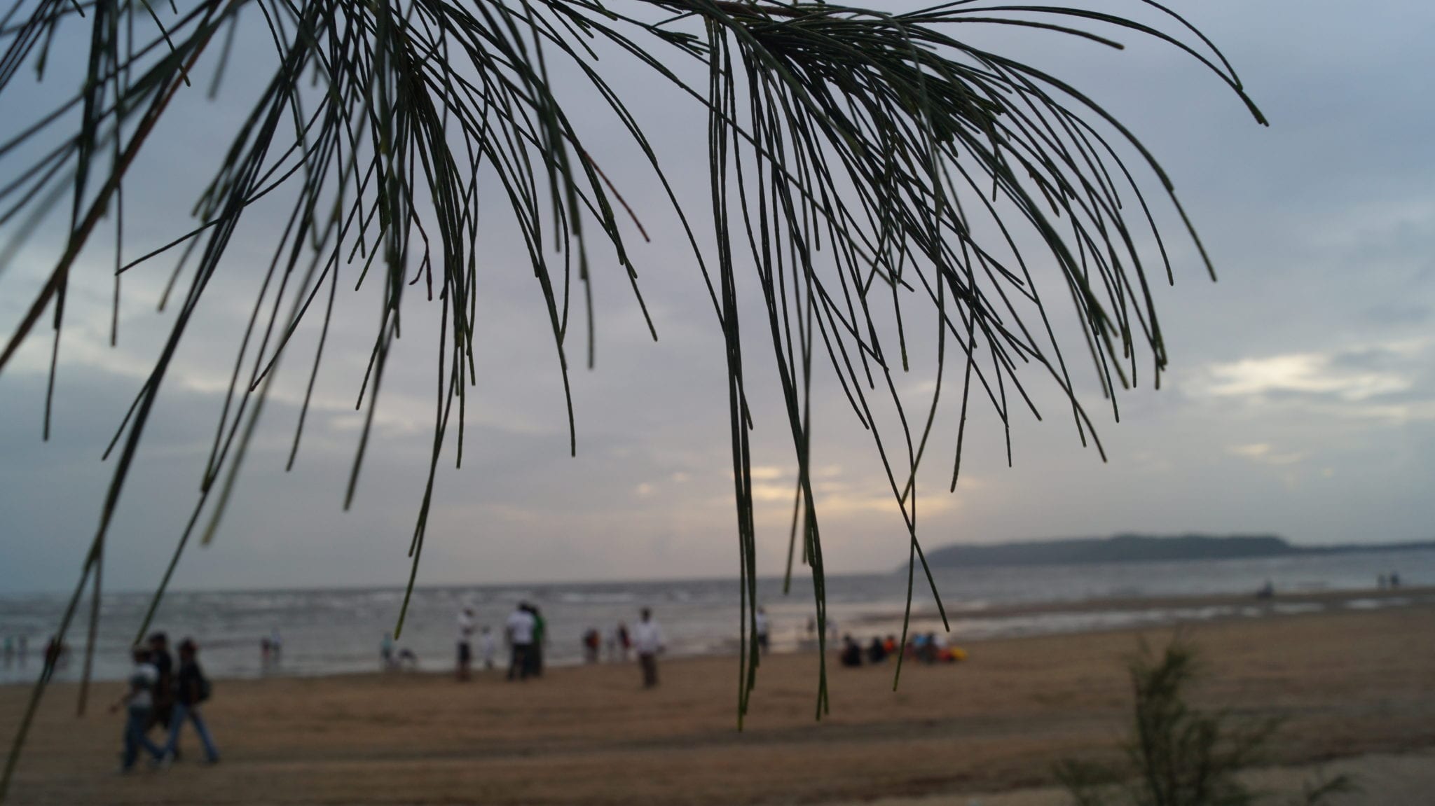A Sunset view