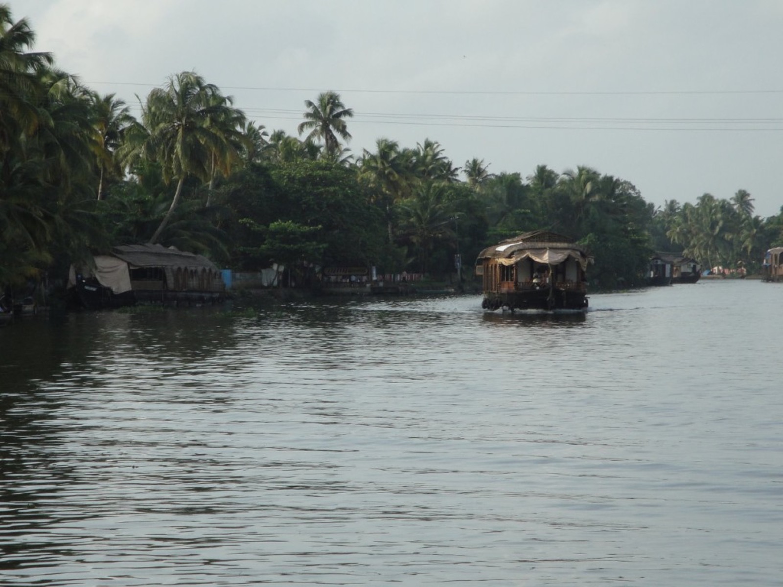 A houseboat moving down a palm-lined canal