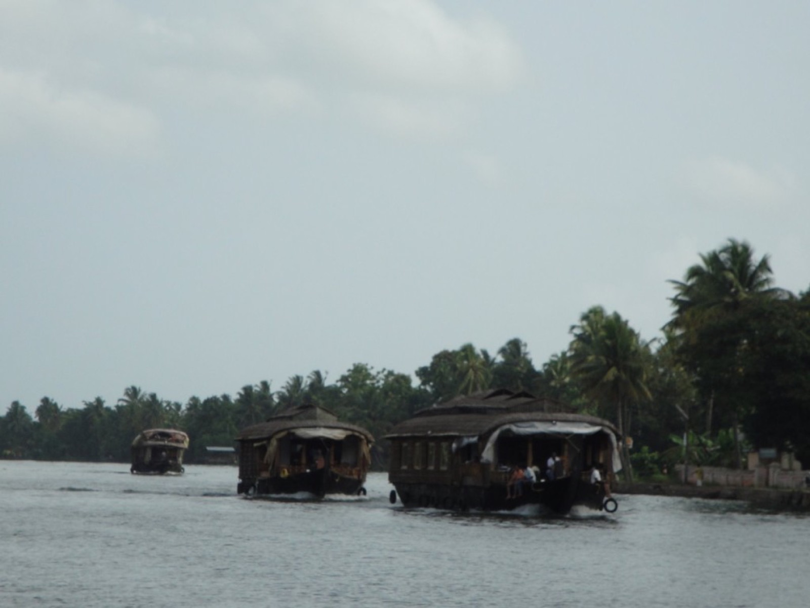 Houseboats crossing the Alleppey backwaters