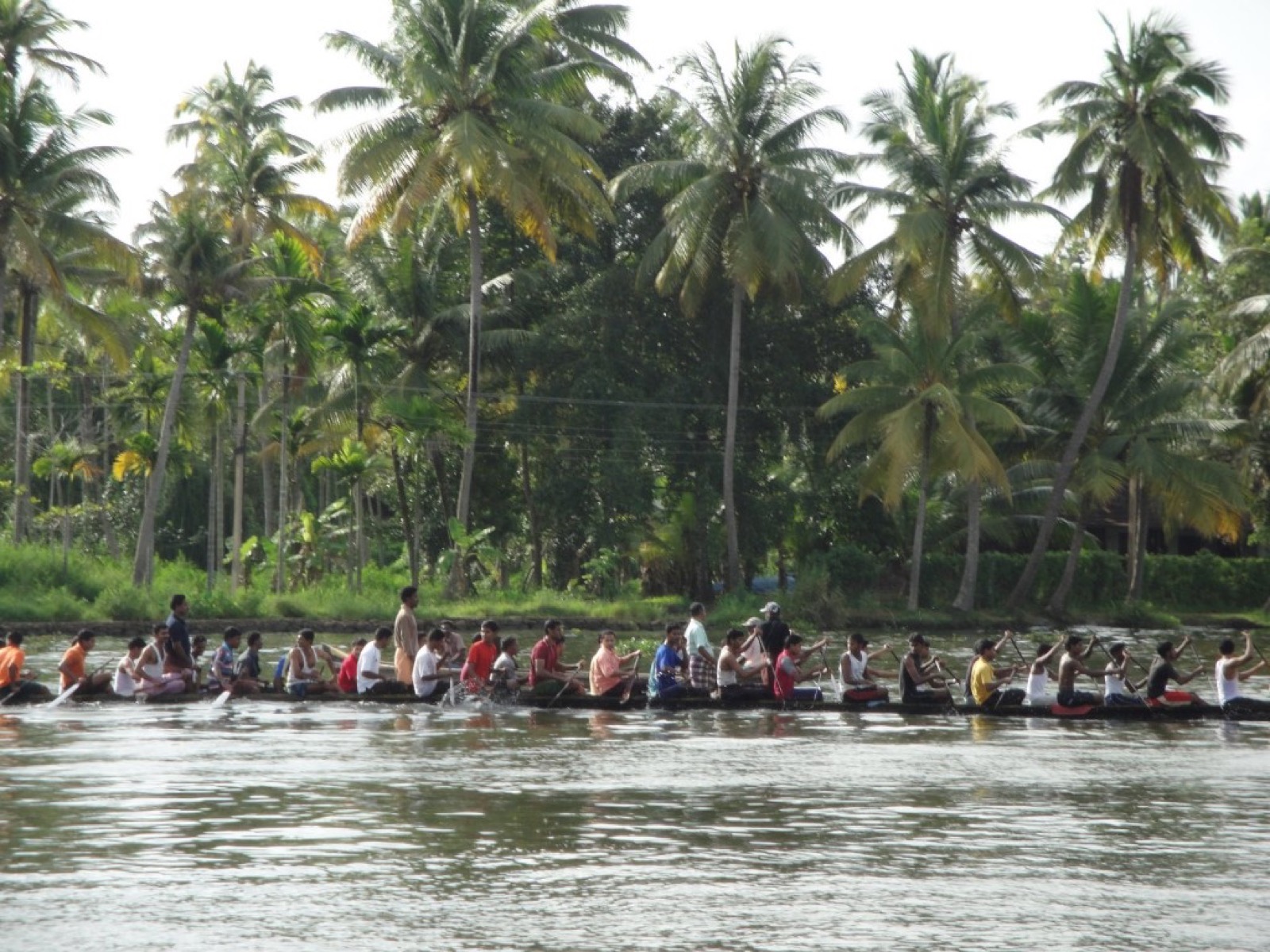 A snake boat crew racing through the backwaters