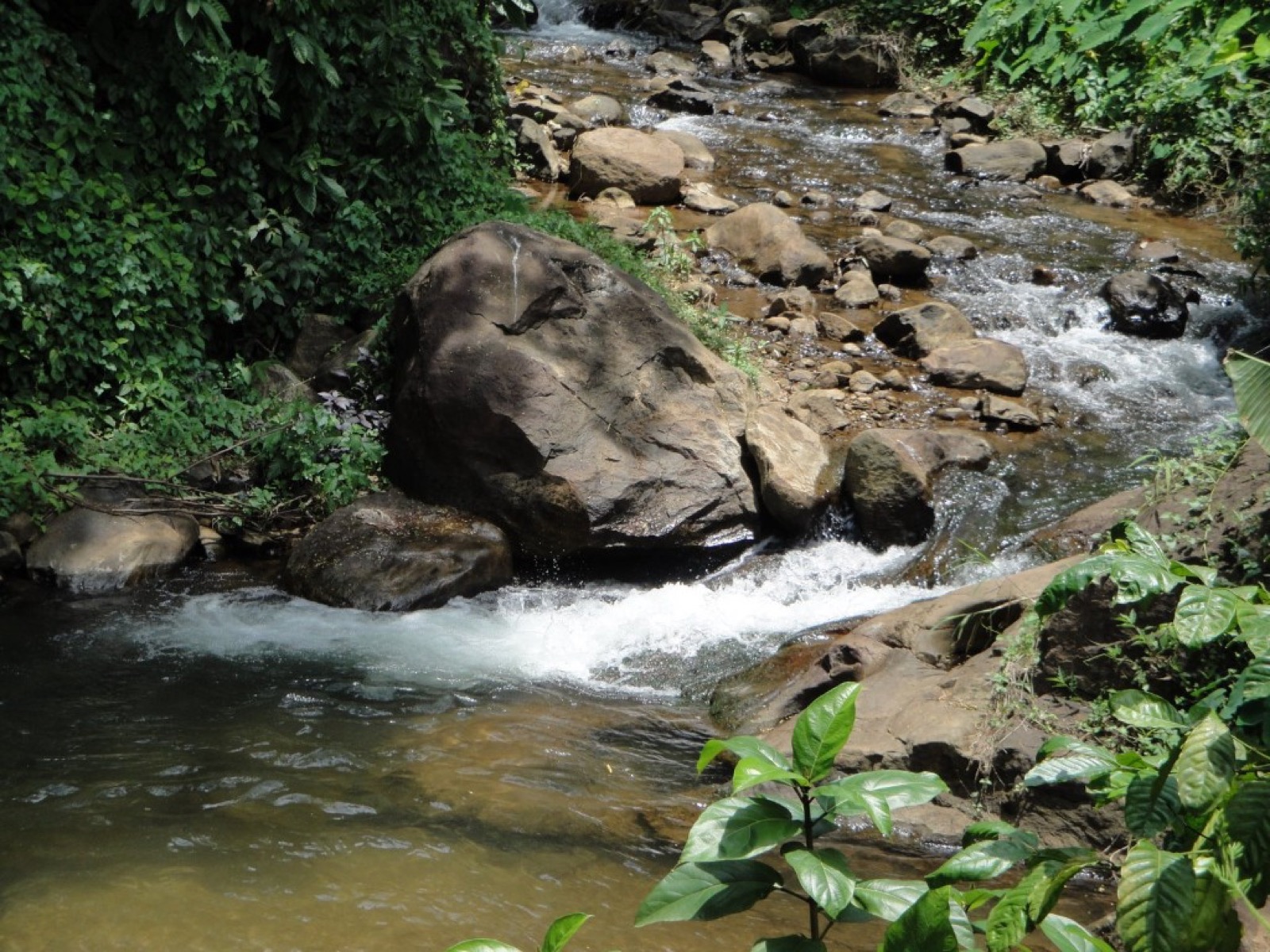 A rocky stream in the Kerala hills